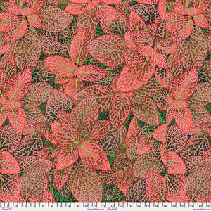 Fittonia Red, PWPJ129.RED by Kaffe Fassett Collective for Free Spirit Fabrics, sold by the half-yard