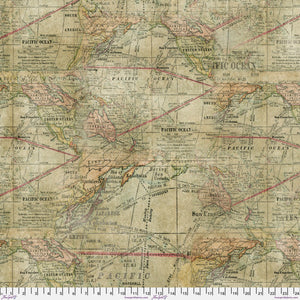 108" Extra Wide Backing, Expedition, QBTH007.MULTI ,  Eclectic Elements Quilt Backs by Tim Holtz, for Freespirit Fabrics, sold by half-yard