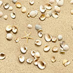 Landscape Medley, 555-Sand, For Elizabeth's Studio  sold by half-yard