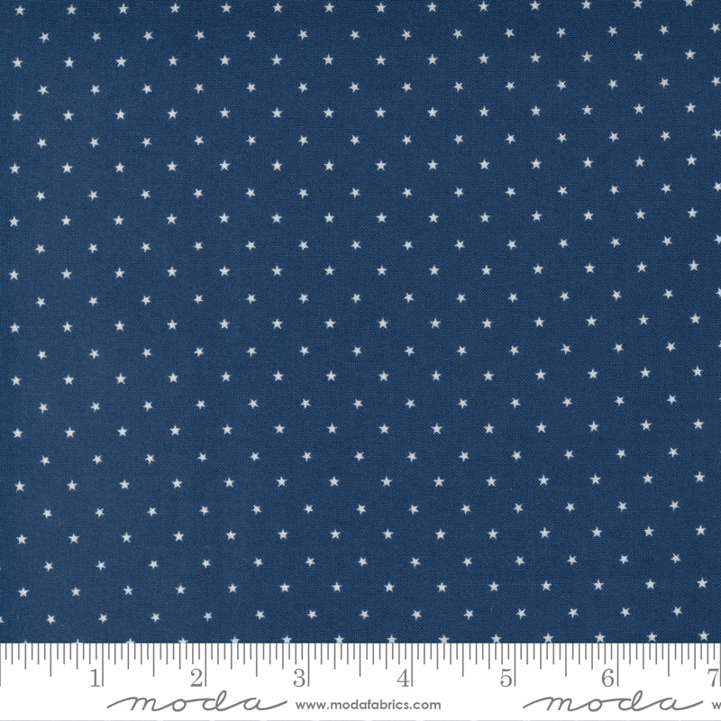 Twinkle Night 24106 50  by April Rosenthal Prairie Grass for Moda, sold by the half-yard