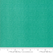 Load image into Gallery viewer, Thatched in Assorted Colorways, by Robin Pickens for Moda Fabrics, sold by the half yard.

