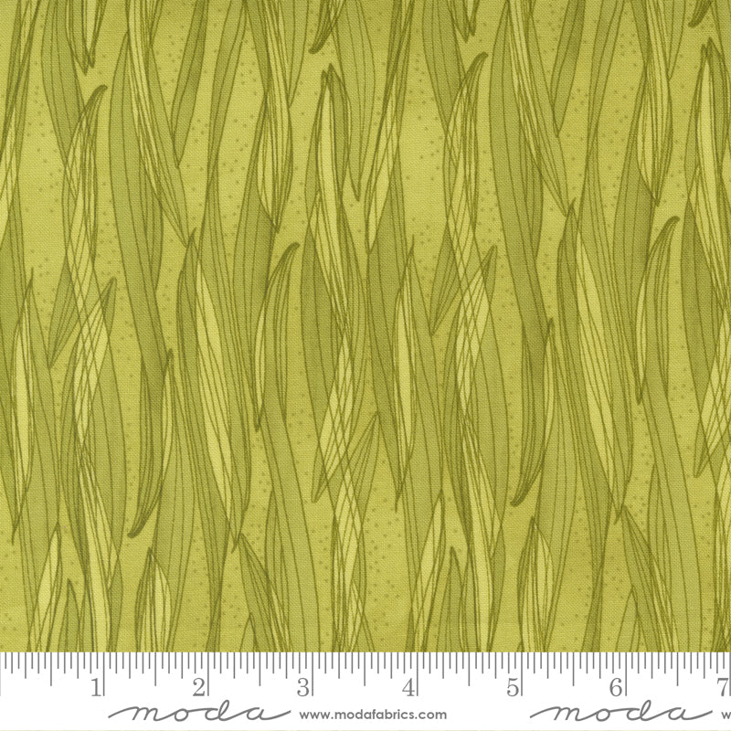 Tulip Tango Chartruese 48714 15 by Robin Pickens for Moda, sold by the half-yard