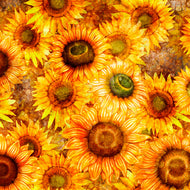 BLOSSOM, SUNFLOWERS 28837 -S by Dan Morris for Quilting Treasures, sold by the half yard
