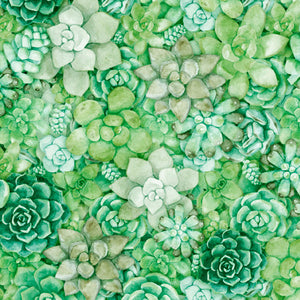 BLOSSOM, MIXED SUCCULENTS, 28848 -H by Dan Morris for Quilting Treasures, sold by the half yard
