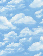 CLOUDY SKY GM-C2188 in  SKY, for Timeless Treasures, sold by the half-yard