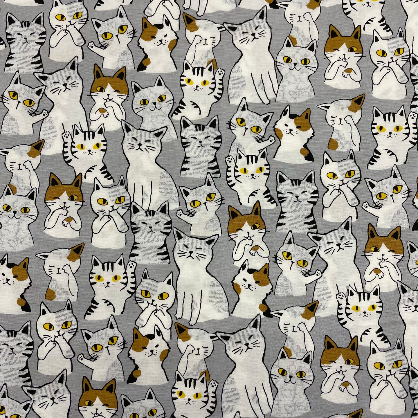 Sevenberry Animal Club - Cats on Grey for Robert Kaufman, sold by the half-yard