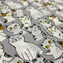 Load image into Gallery viewer, Sevenberry Animal Club - Cats on Grey for Robert Kaufman, sold by the half-yard
