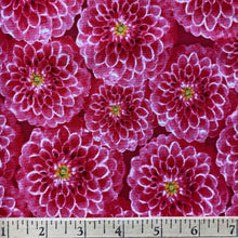 Load image into Gallery viewer, Prelude by Cynthia Coulter for Wilmington Prints, sold by the half-yard
