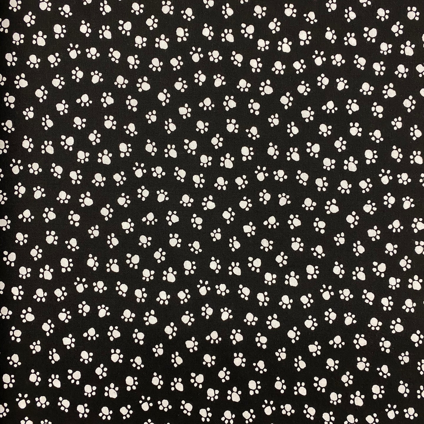 Paw Prints on Black by Michael Miller Fabrics, sold by the half-yard