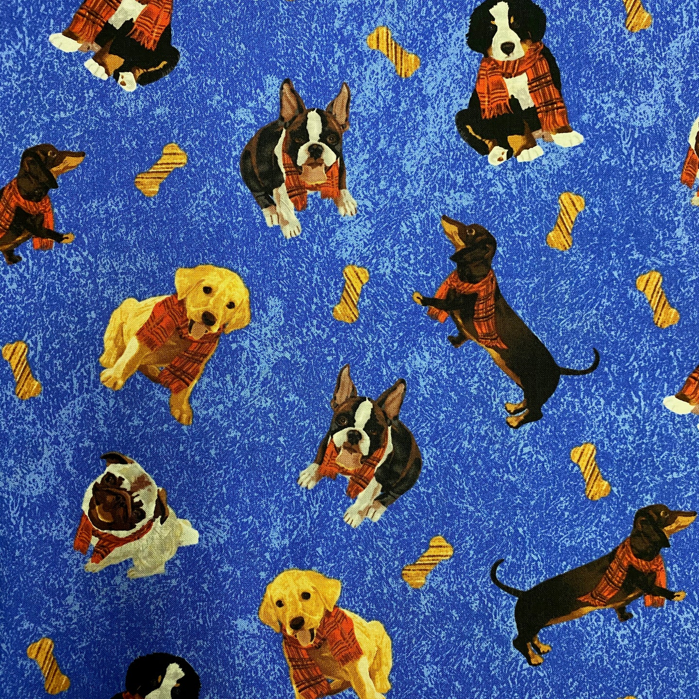 Ruff Life by Two Can Art on Blue for Andover, sold by the half-yard