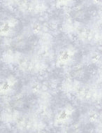 SOLID-ISH WATERCOLOR TEXTURE KIM-C6100 in MIST, by Timeless Treasures, sold by the half-yard