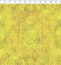 Load image into Gallery viewer, Rainbow of Jewels in Yellow/Green 12RJ 1 by Jason Yenter for  In the Beginning Fabrics, sold by the half-yard
